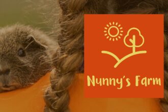 Nunnys pic