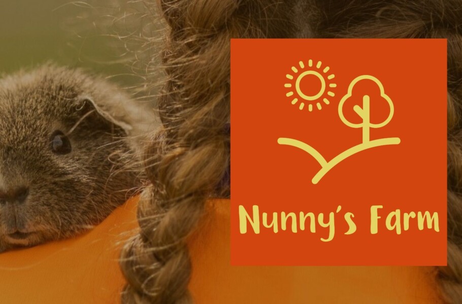 Nunnys pic